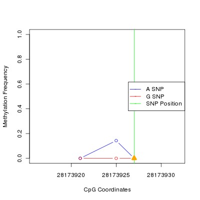 Allele Specific Methylation Frequency Diagram for chr17 28173927 SNP.