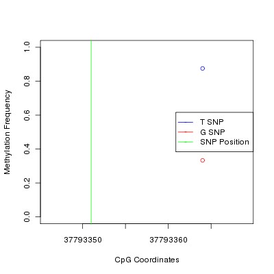 Allele Specific Methylation Frequency Diagram for chr17 37793351 SNP.