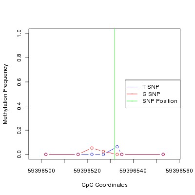 Allele Specific Methylation Frequency Diagram for chr19 59396532 SNP.