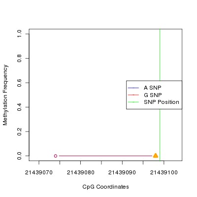 Allele Specific Methylation Frequency Diagram for chr20 21439099 SNP.
