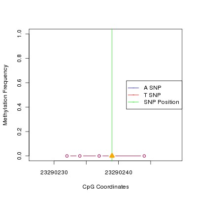 Allele Specific Methylation Frequency Diagram for chr20 23290239 SNP.