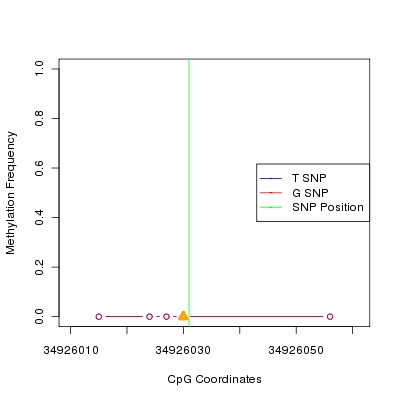Allele Specific Methylation Frequency Diagram for chr20 34926031 SNP.
