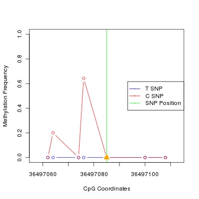 Allele Specific Methylation Frequency Diagram for chr20 36497085 SNP.
