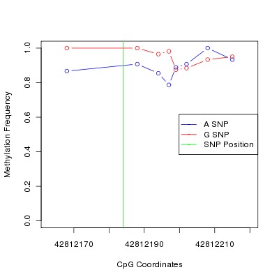 Allele Specific Methylation Frequency Diagram for chr20 42812184 SNP.