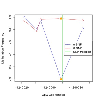 Allele Specific Methylation Frequency Diagram for chr20 44240050 SNP.