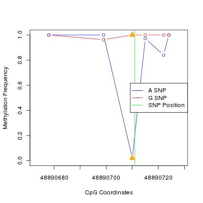 Allele Specific Methylation Frequency Diagram for chr20 48890711 SNP.