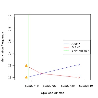 Allele Specific Methylation Frequency Diagram for chr20 52222708 SNP.