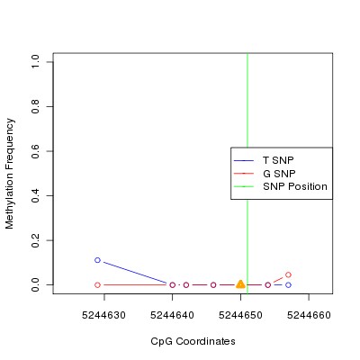 Allele Specific Methylation Frequency Diagram for chr20 5244651 SNP.