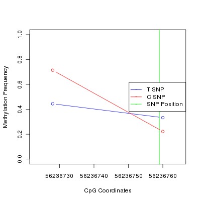 Allele Specific Methylation Frequency Diagram for chr20 56236759 SNP.