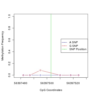 Allele Specific Methylation Frequency Diagram for chr20 56397503 SNP.