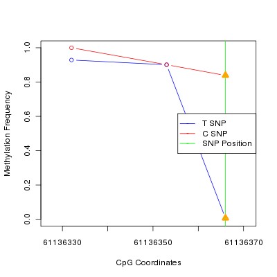 Allele Specific Methylation Frequency Diagram for chr20 61136366 SNP.