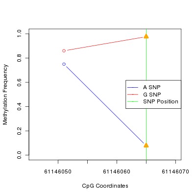 Allele Specific Methylation Frequency Diagram for chr20 61146065 SNP.