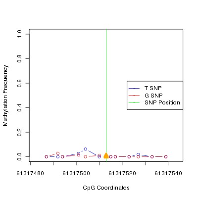 Allele Specific Methylation Frequency Diagram for chr20 61317513 SNP.