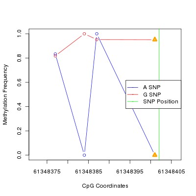 Allele Specific Methylation Frequency Diagram for chr20 61348402 SNP.