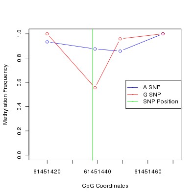 Allele Specific Methylation Frequency Diagram for chr20 61451438 SNP.