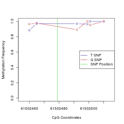 Allele Specific Methylation Frequency Diagram for chr20 61502479 SNP.