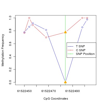 Allele Specific Methylation Frequency Diagram for chr20 61522484 SNP.