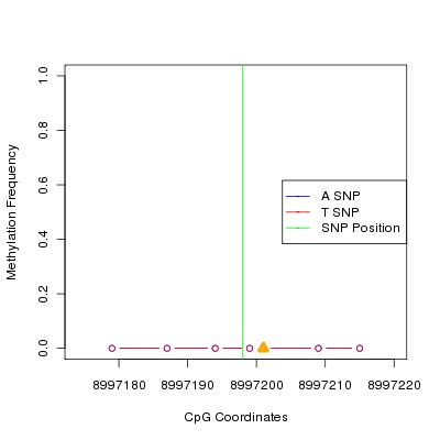 Allele Specific Methylation Frequency Diagram for chr20 8997198 SNP.