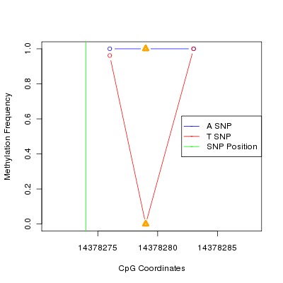 Allele Specific Methylation Frequency Diagram for chr21 14378274 SNP.