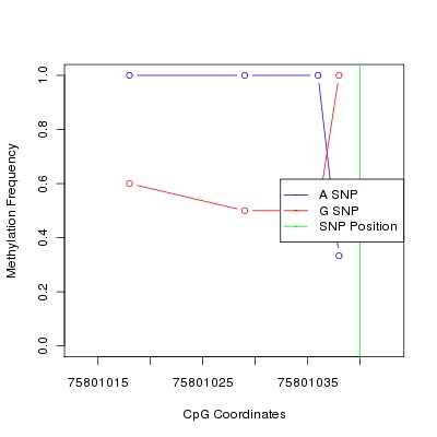 Allele Specific Methylation Frequency Diagram for chr3 75801040 SNP.