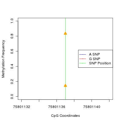 Allele Specific Methylation Frequency Diagram for chr3 75801137 SNP.