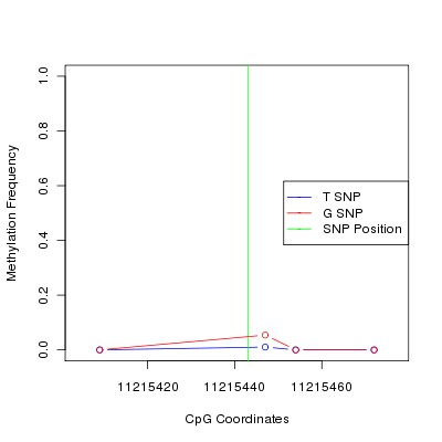 Allele Specific Methylation Frequency Diagram for chr12 11215443 SNP.