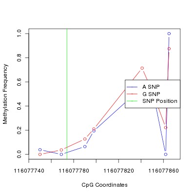 Allele Specific Methylation Frequency Diagram for chr12 116077774 SNP.