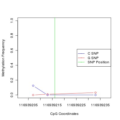 Allele Specific Methylation Frequency Diagram for chr12 116939216 SNP.