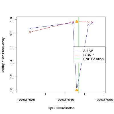 Allele Specific Methylation Frequency Diagram for chr12 122037047 SNP.