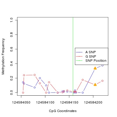 Allele Specific Methylation Frequency Diagram for chr12 124584158 SNP.