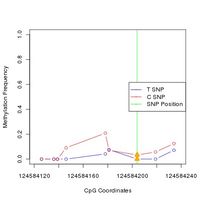 Allele Specific Methylation Frequency Diagram for chr12 124584204 SNP.