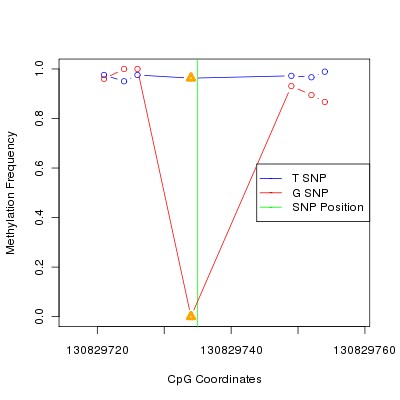 Allele Specific Methylation Frequency Diagram for chr12 130829735 SNP.
