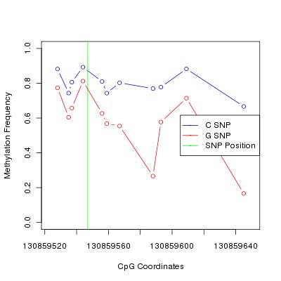 Allele Specific Methylation Frequency Diagram for chr12 130859547 SNP.