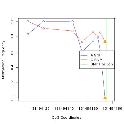 Allele Specific Methylation Frequency Diagram for chr12 131494175 SNP.