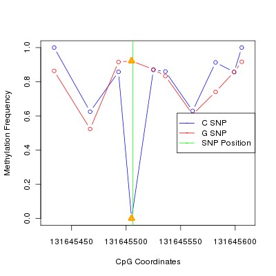Allele Specific Methylation Frequency Diagram for chr12 131645506 SNP.