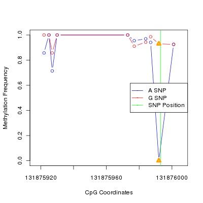 Allele Specific Methylation Frequency Diagram for chr12 131875993 SNP.