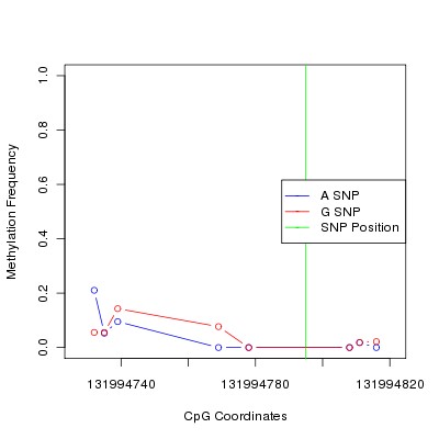 Allele Specific Methylation Frequency Diagram for chr12 131994795 SNP.