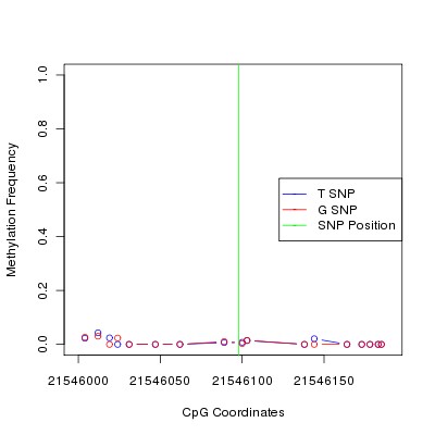 Allele Specific Methylation Frequency Diagram for chr12 21546098 SNP.