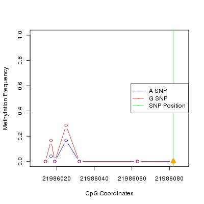 Allele Specific Methylation Frequency Diagram for chr12 21986082 SNP.