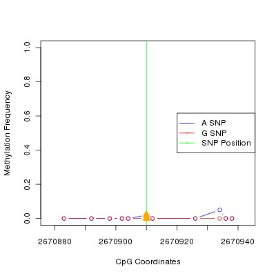 Allele Specific Methylation Frequency Diagram for chr12 2670910 SNP.