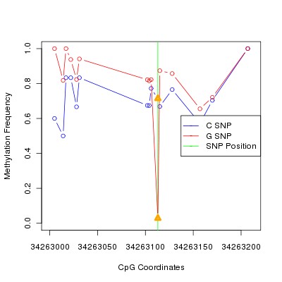 Allele Specific Methylation Frequency Diagram for chr12 34263113 SNP.