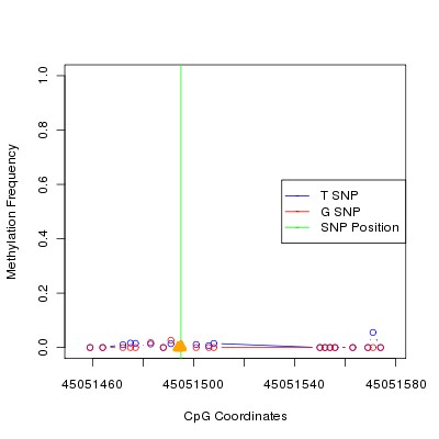 Allele Specific Methylation Frequency Diagram for chr12 45051495 SNP.
