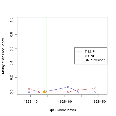 Allele Specific Methylation Frequency Diagram for chr12 4628449 SNP.
