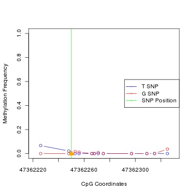 Allele Specific Methylation Frequency Diagram for chr12 47362250 SNP.