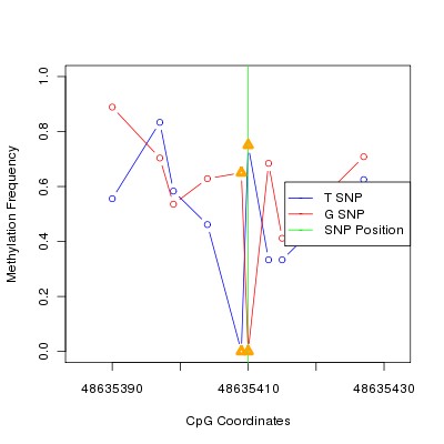 Allele Specific Methylation Frequency Diagram for chr12 48635410 SNP.