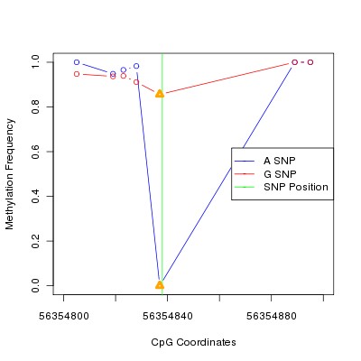 Allele Specific Methylation Frequency Diagram for chr12 56354838 SNP.