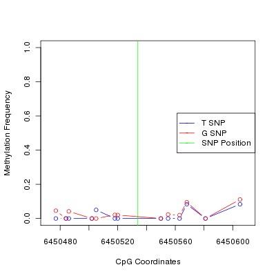 Allele Specific Methylation Frequency Diagram for chr12 6450534 SNP.