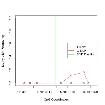 Allele Specific Methylation Frequency Diagram for chr12 97813319 SNP.