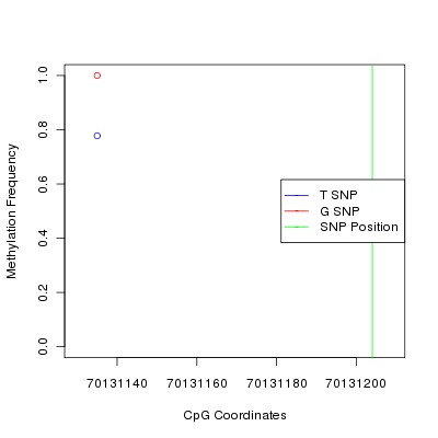 Allele Specific Methylation Frequency Diagram for chr14 70131204 SNP.