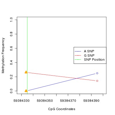 Allele Specific Methylation Frequency Diagram for chr19 59384335 SNP.